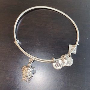 Alex and Ani Turtle Bracelet